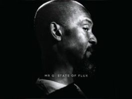 State Of Flux by Mr. G
